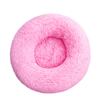 Bright Pink